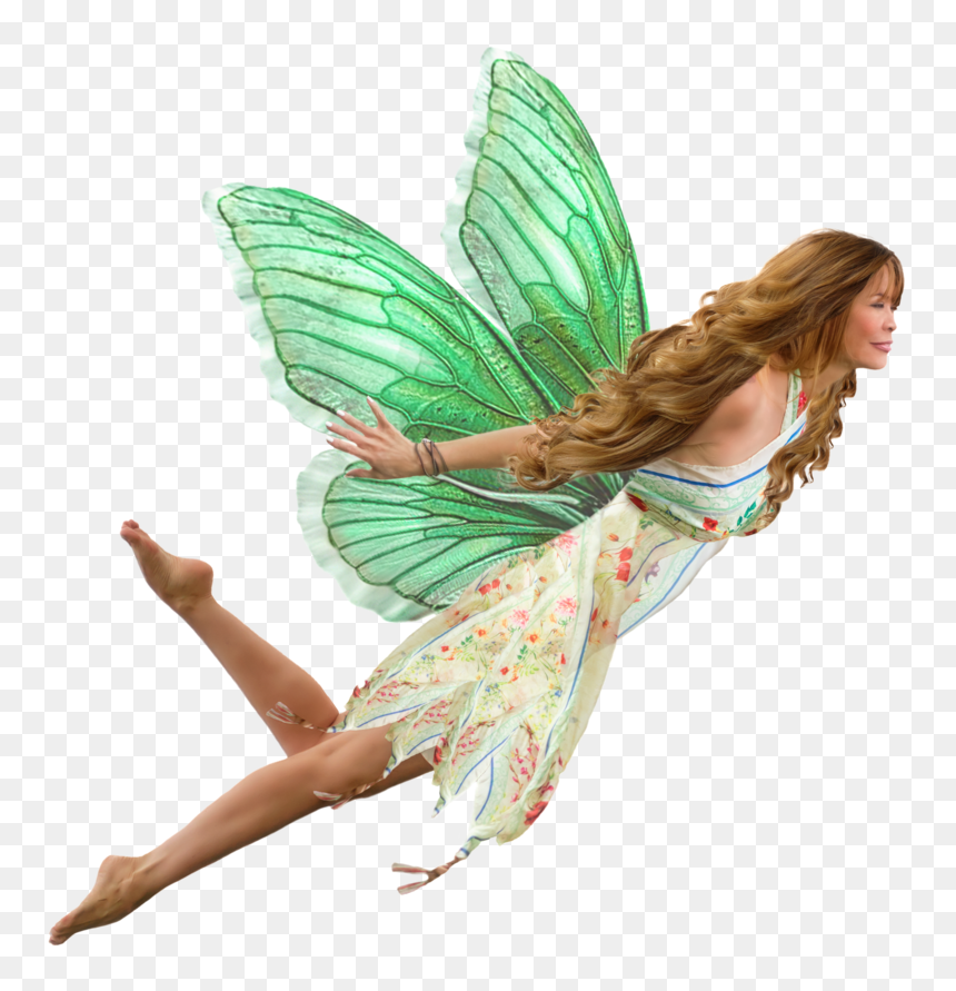 Fairy Transparent Png Photo - Fairy Png, Png Download - flying fairy png