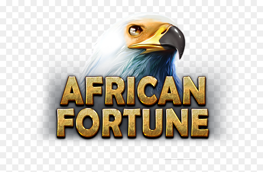 Bald Eagle, HD Png Download - fortune logo png