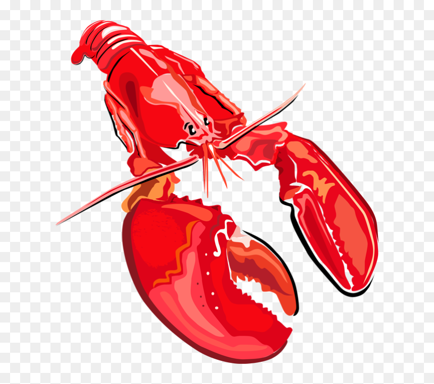 Crawfish And Beer Clipart, HD Png Download - minglee png