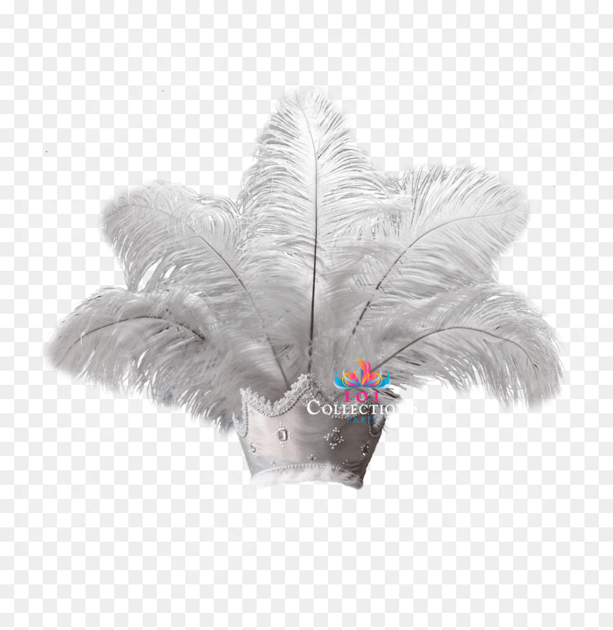 Desert Palm, HD Png Download - corona de reina png