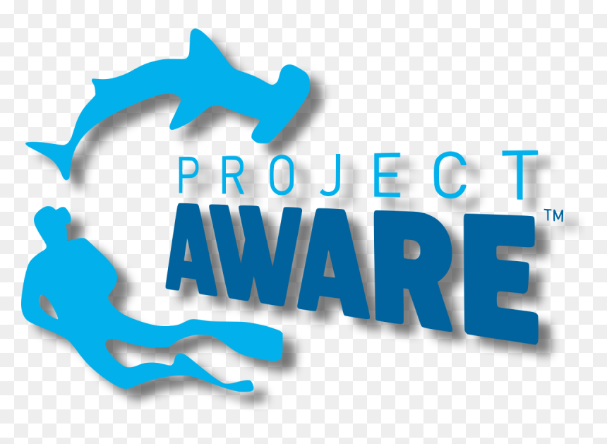 Adult Swim Logo - Project Aware Foundation Logo, HD Png Download - adult swim logo png