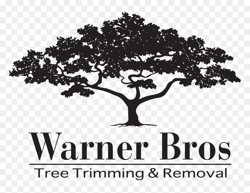 Warner Bros Tree Trimming & Removal - Vector Graphics, HD Png Download - warner bros png