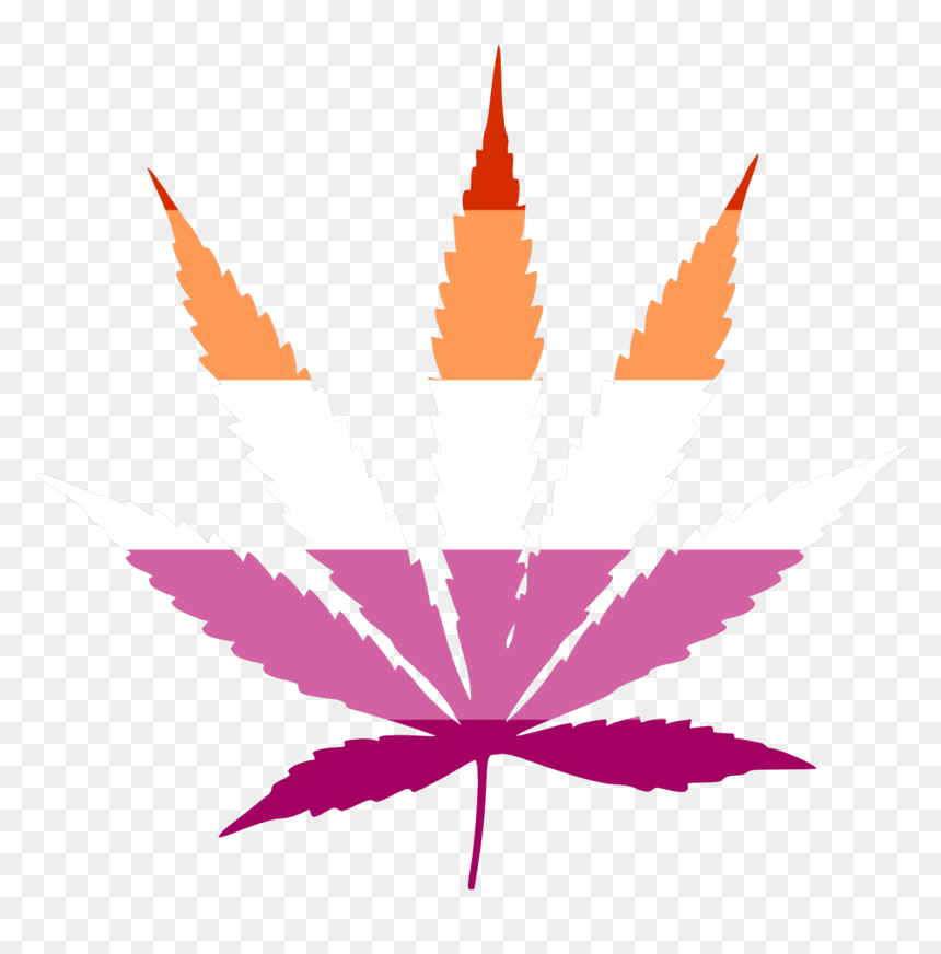 Smoke Weed Everyday Transparent, HD Png Download - 420 blaze it png