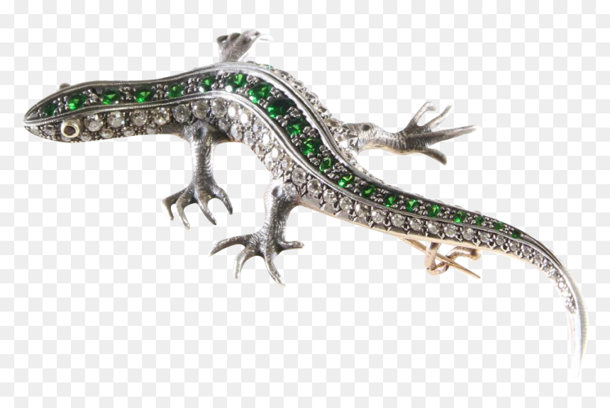 Salamander Png Transparent Image - Reptile Jewellery, Png Download - salamander png