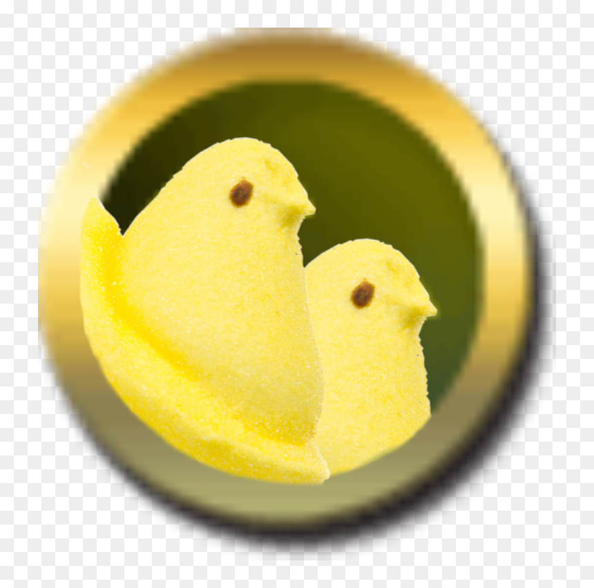 Humoreven Peep Wave - Chicken, HD Png Download - peep png