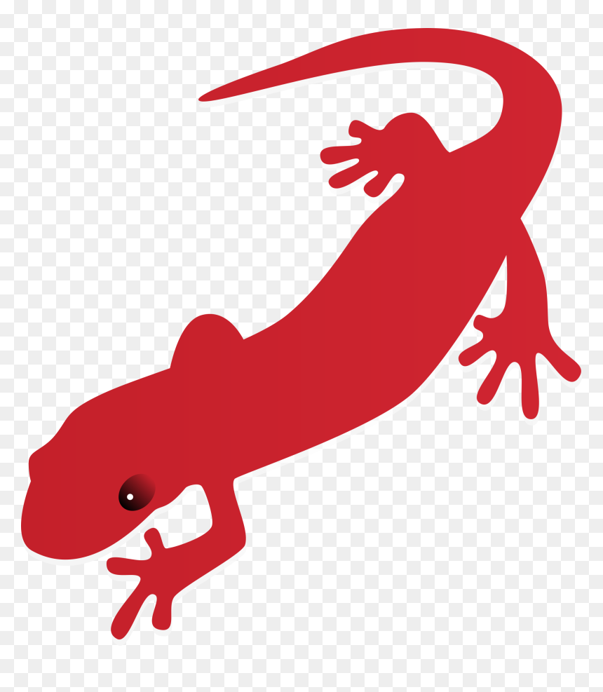 Gecko Clipart Salamander - Salamander Clipart, HD Png Download - salamander png