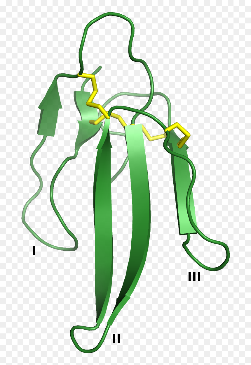 1qkd 3ftx - Three Finger Toxin Structure, HD Png Download - venom snake png