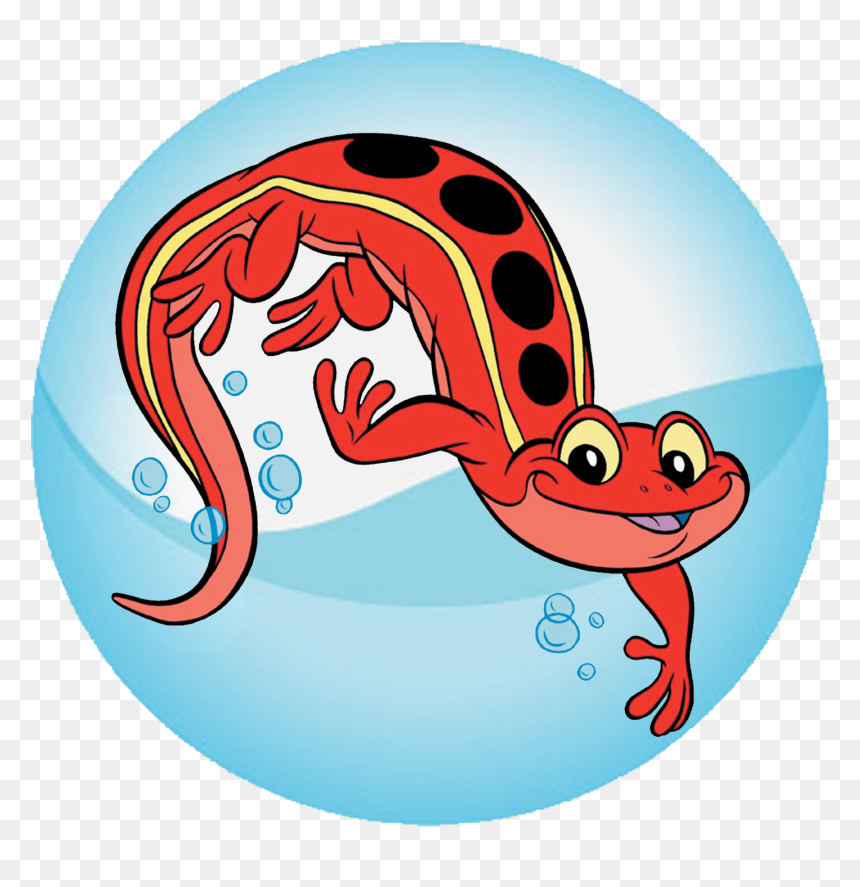 Red Cross Salamander , Png Download - Red Cross Salamander, Transparent Png - salamander png