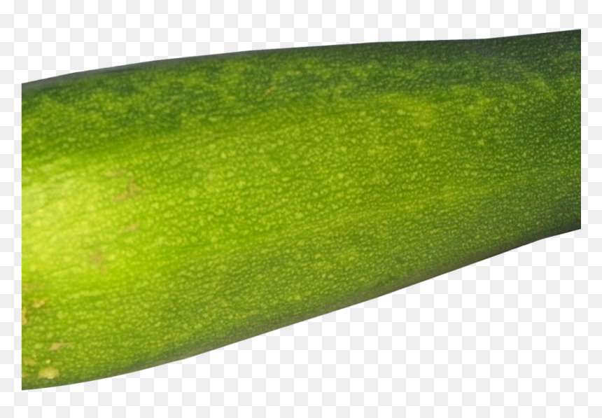 Zucchini Png Image1 - Gourd, Transparent Png - zucchini png