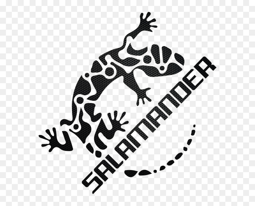 Salamander Csgo, HD Png Download - salamander png