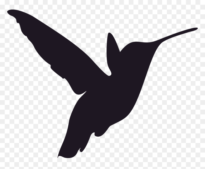 Hummingbird Stencils, HD Png Download - humming bird png