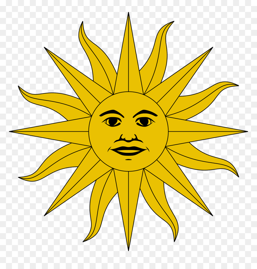 Plant,flower,leaf - Sol De La Bandera Uruguaya, HD Png Download - uruguay flag png