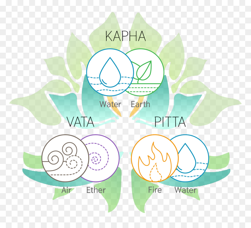 Illustration, HD Png Download - healthy icon png