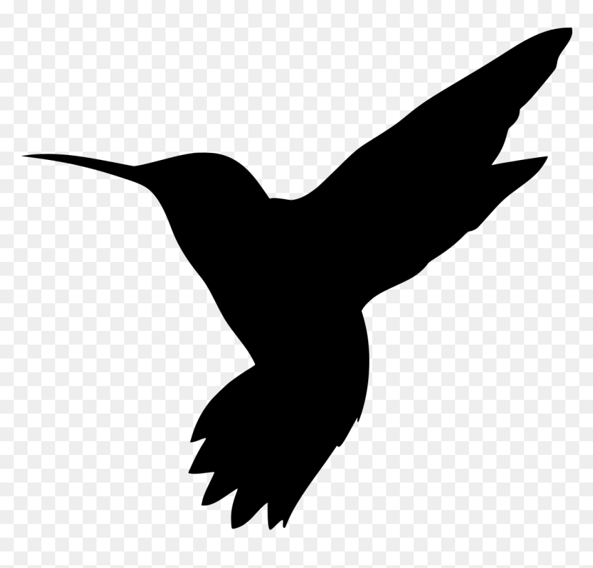Hummingbird Svg, HD Png Download - humming bird png