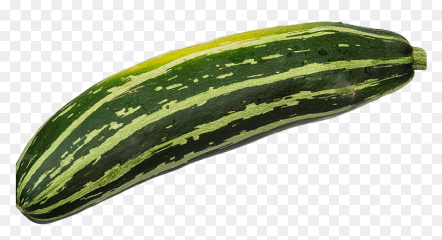 Courgette Rayée, HD Png Download - zucchini png