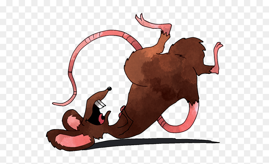 Thumb Image - Illustration, HD Png Download - peeking png