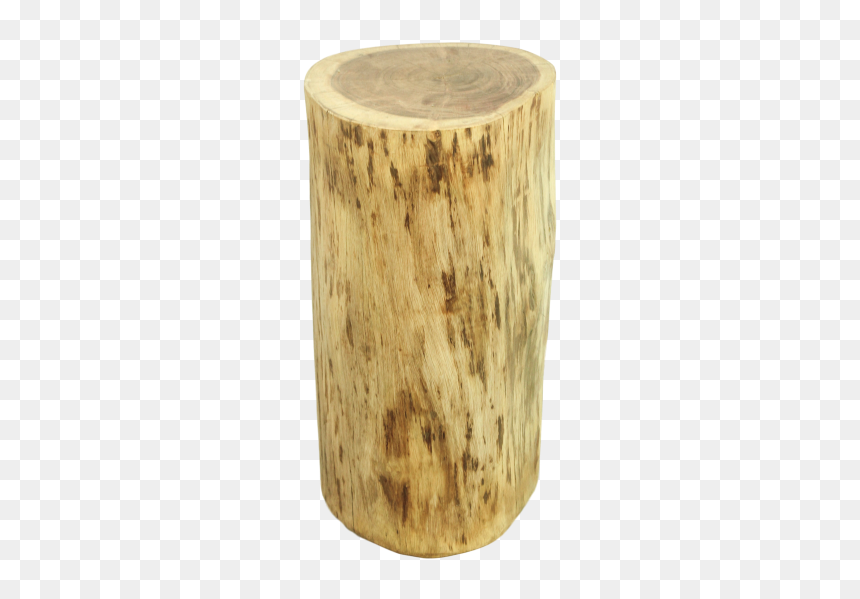 Boomstam Bijzettafel, HD Png Download - stump png
