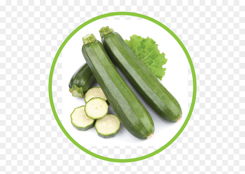 Rhubarb Md Circle - Calabacin Uruguay, HD Png Download - zucchini png