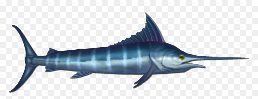 Marlin Are A Common Fish That Can Be Found At The Bottom - Swordfish, HD Png Download - swordfish png