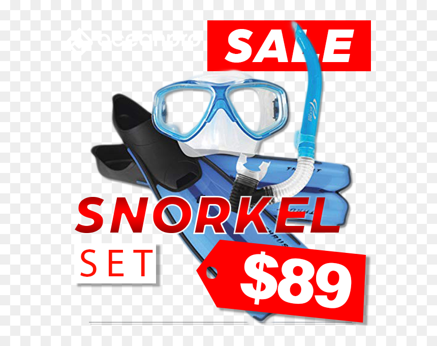 Transparent Snorkeling Gear Clipart - Diving Mask, HD Png Download - snorkel png