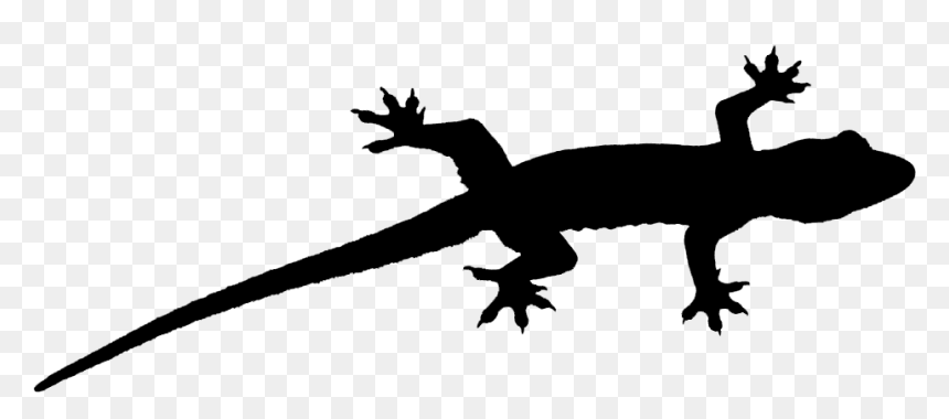 Gecko Lizard Fauna Font Silhouette - Clip Art Lizard Silhouette, HD Png Download - gecko png