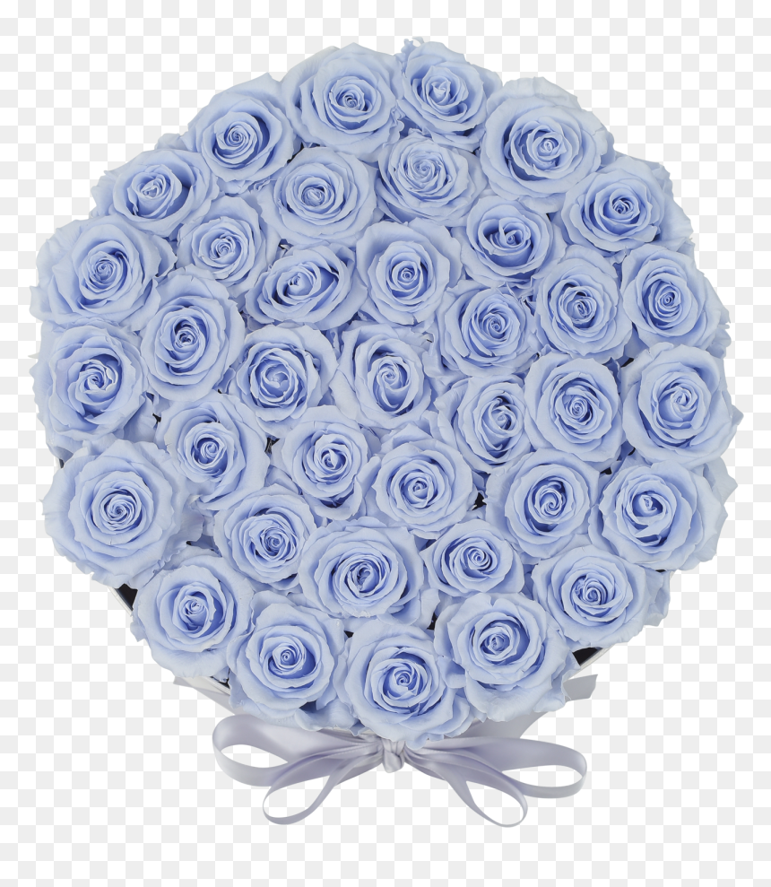 Transparent Blue Orb Png - American Museum Of Natural History, Png Download - blue orb png