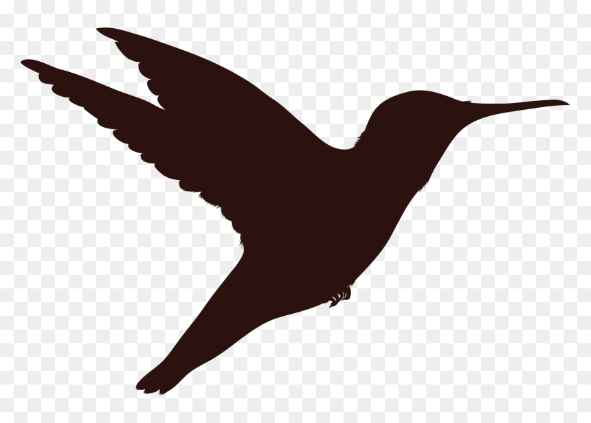 Hummingbird, HD Png Download - humming bird png