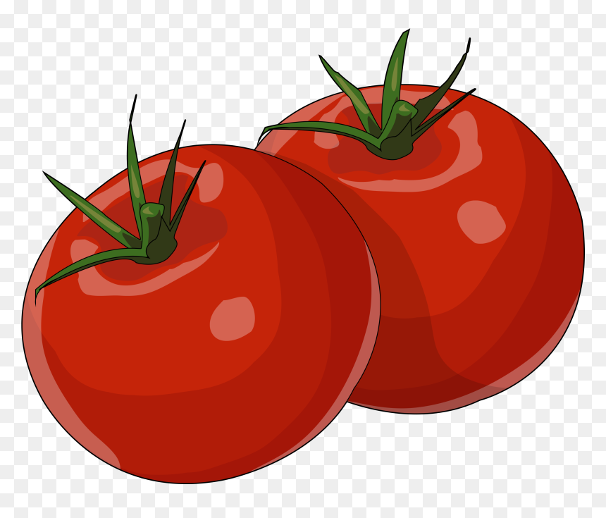 Tomate Png , Png Download - Tomate Png, Transparent Png - tomate png