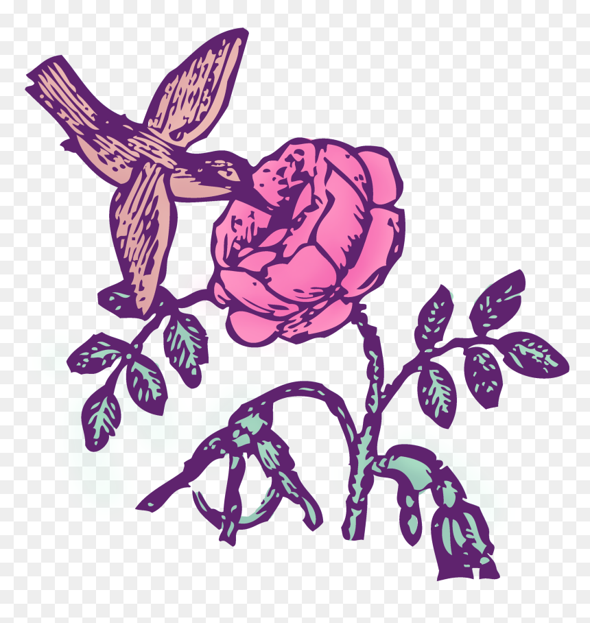Vintage Hummingbird And Rose Clipart - Clip Art, HD Png Download - humming bird png