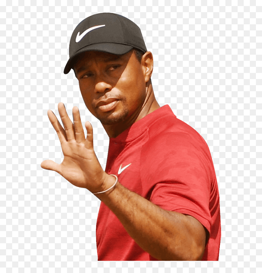 Transparent Mic Png - Transparent Tiger Woods Png, Png Download - tiger woods png