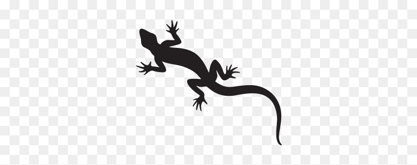 Gecko Lizard New Zealand Fantail Silhouette - Silhouette Transparent Lizard Clipart, HD Png Download - gecko png
