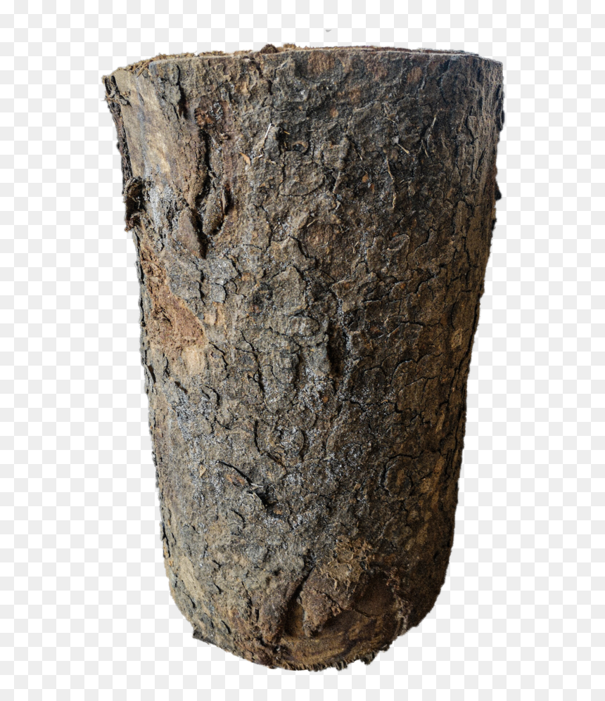 Wood, HD Png Download - stump png
