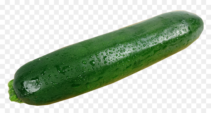 Zucchini , Png Download - Gourd, Transparent Png - zucchini png