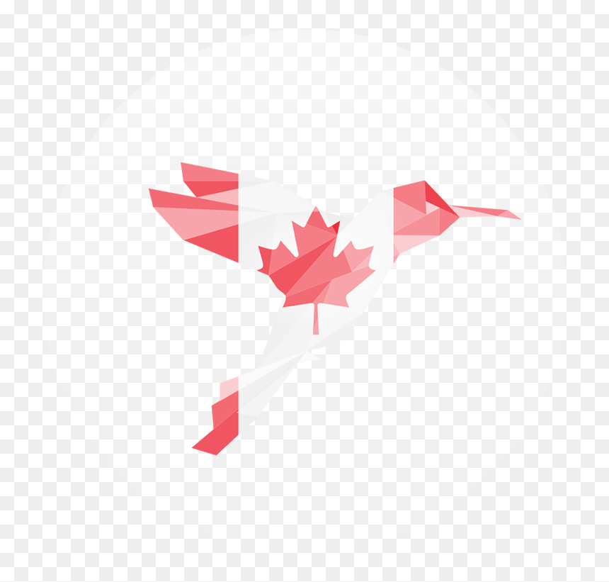 Illustration, HD Png Download - humming bird png