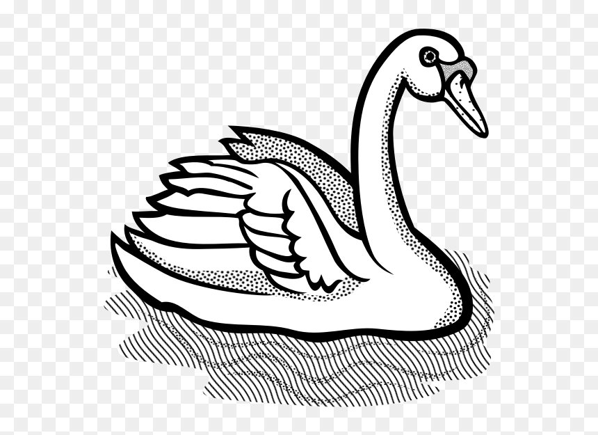 Swan With Part Spotty Feathers In Water Vector Image - Clipart Black And White Swan, HD Png Download - water vector png