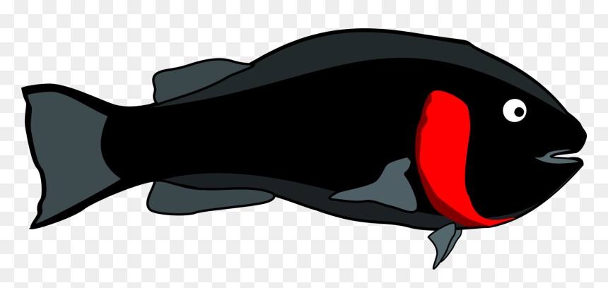 Beak,fish,dolphin - Siyah Balık Vektör Png, Transparent Png - swordfish png