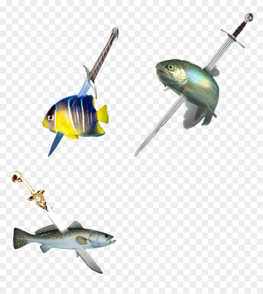 #swordfish #sword - Coral Reef Fish, HD Png Download - swordfish png