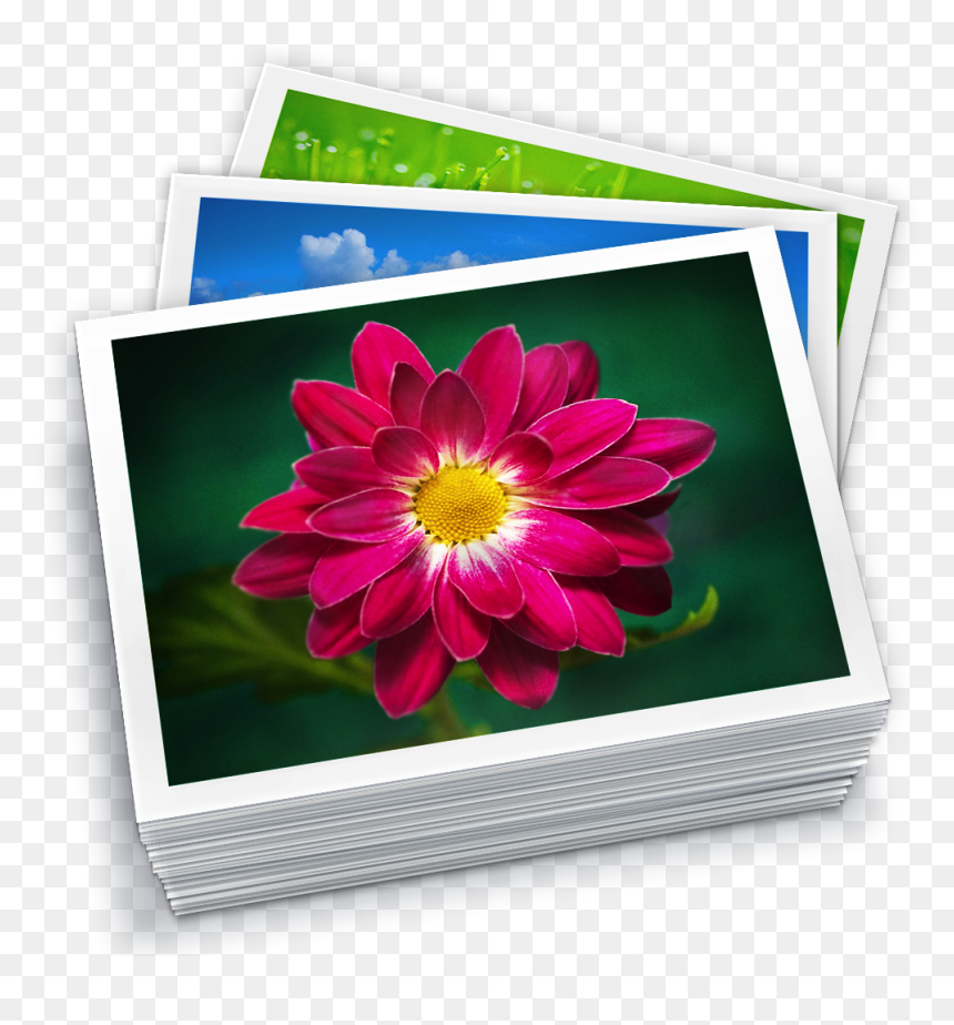 Transparent Expert Icon Png - Iphoto Icons, Png Download - library icon png