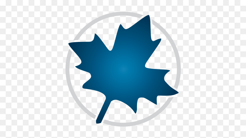 Maple 2019 Activation Code, HD Png Download - maple png