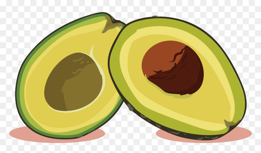 Avocado Euclidean Vector Computer File - Animada De Un Aguacate, HD Png Download - aguacate png