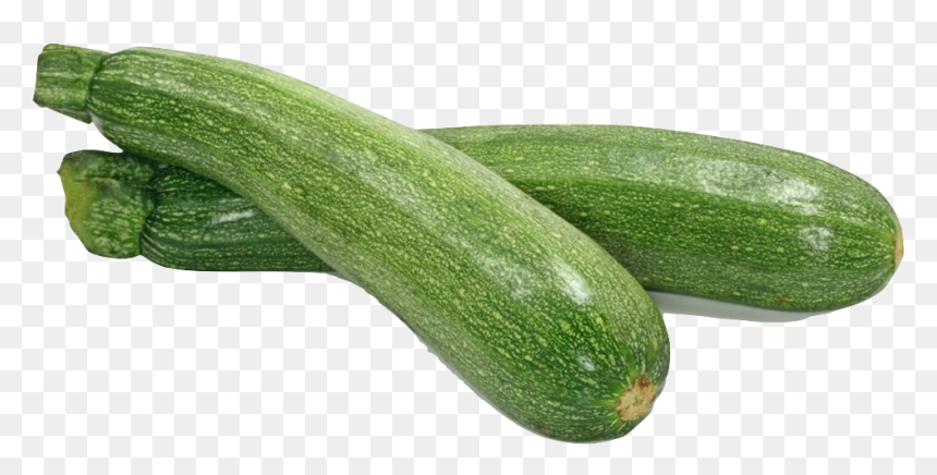Summer Squash All Good Organics Farm Store - Zucchini Veg, HD Png Download - zucchini png