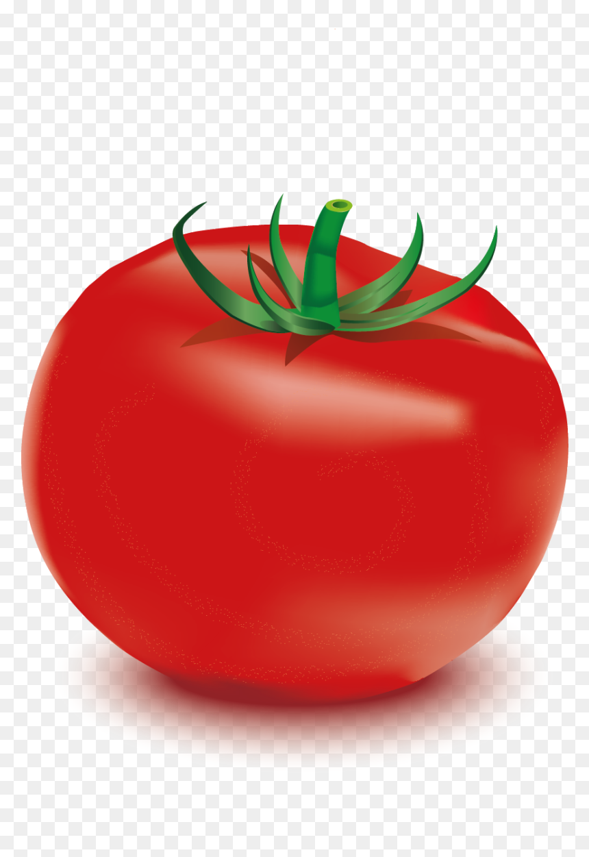 Plum Tomato, HD Png Download - tomate png