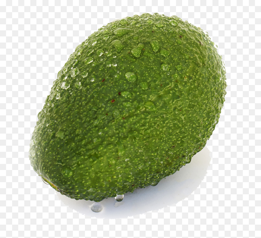 Persian Lime , Png Download - Seedless Fruit, Transparent Png - aguacate png