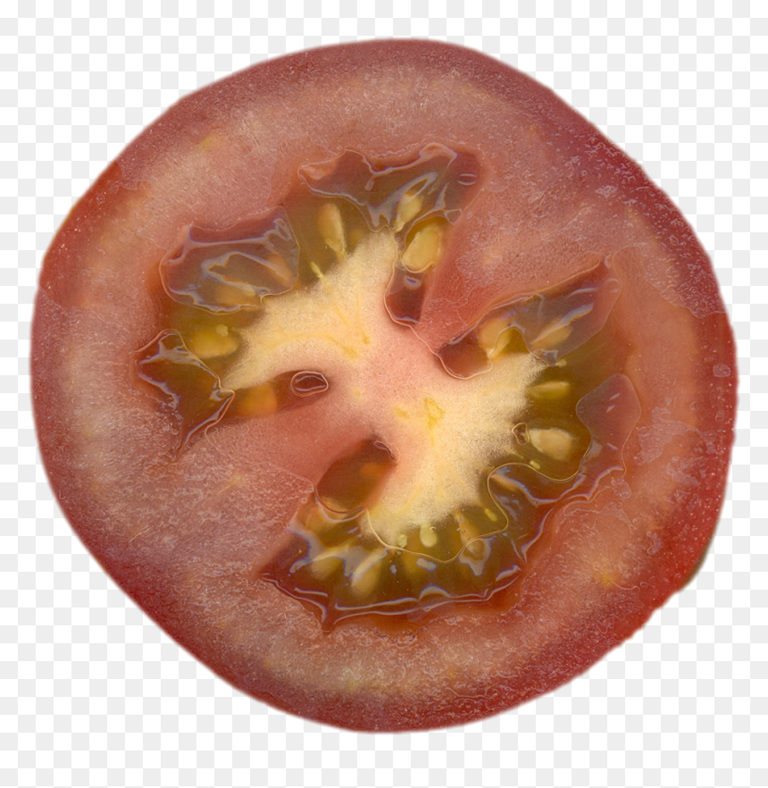 Preview - Tomato, HD Png Download - tomate png
