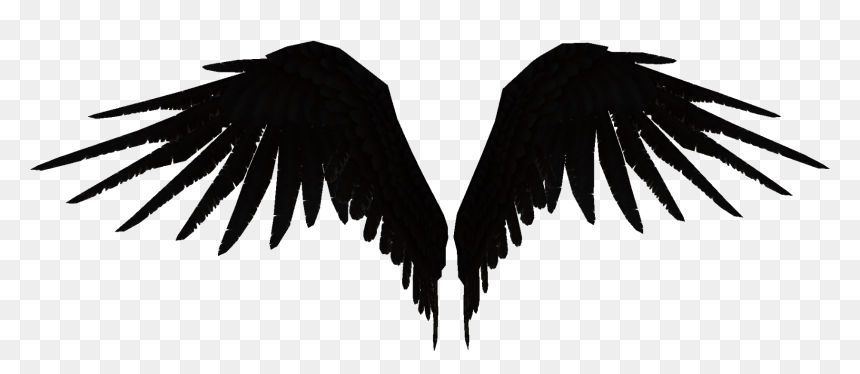 #wings #fallen #angel #black#wearit - Parrot, HD Png Download - fallen angel png