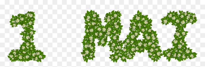 Muguet Maurice Careme Dessin, HD Png Download - lilly png