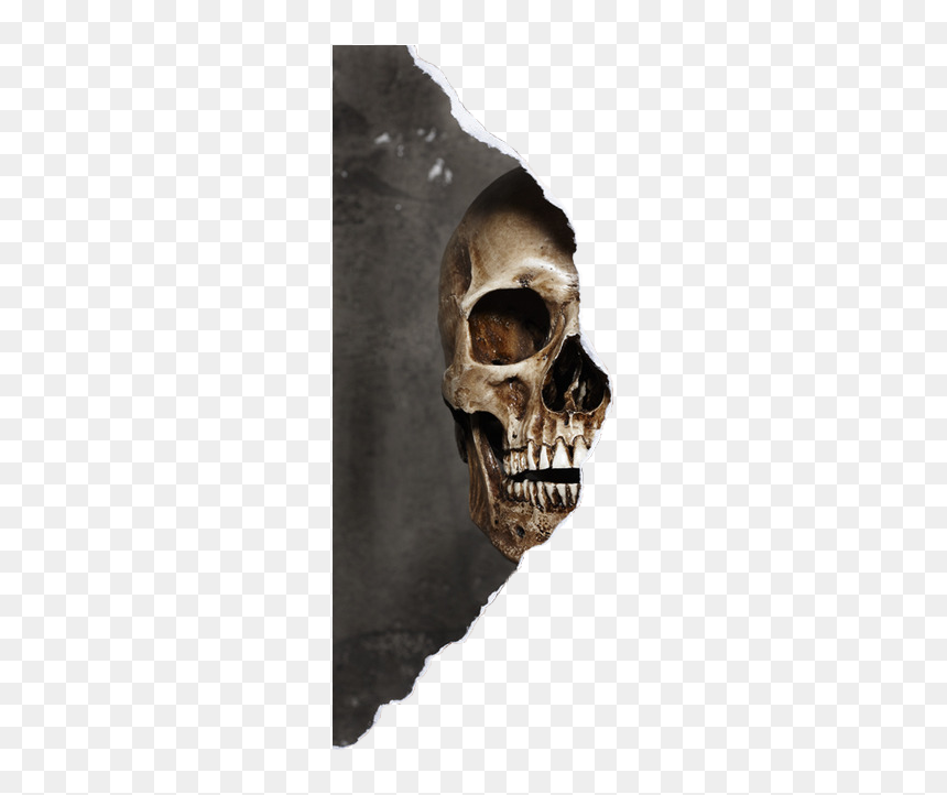 #skull #halfskullface #halfskull #skullface #smokeskull - Half Skull Half Girl Face, HD Png Download - skull face png