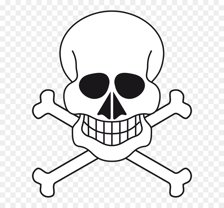 Iskelet Çizimi, HD Png Download - skull face png