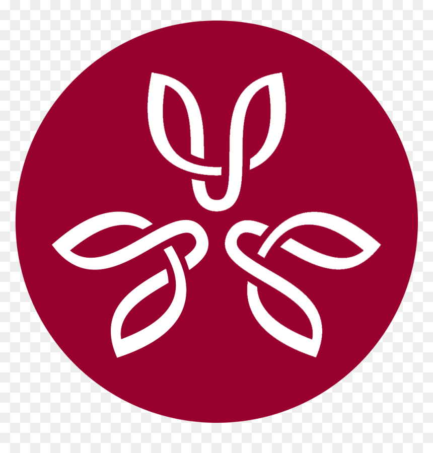 Global Down Syndrome Foundation - Circle, HD Png Download - down syndrome png