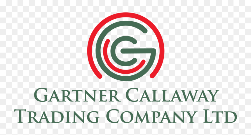 Donnelly College, HD Png Download - gartner logo png